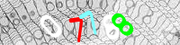 Blue Captcha Image